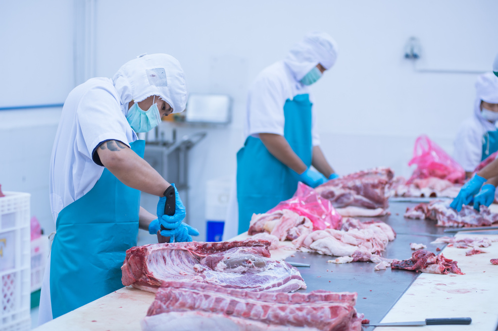 cutting meat slaughterhouse workers in the factory